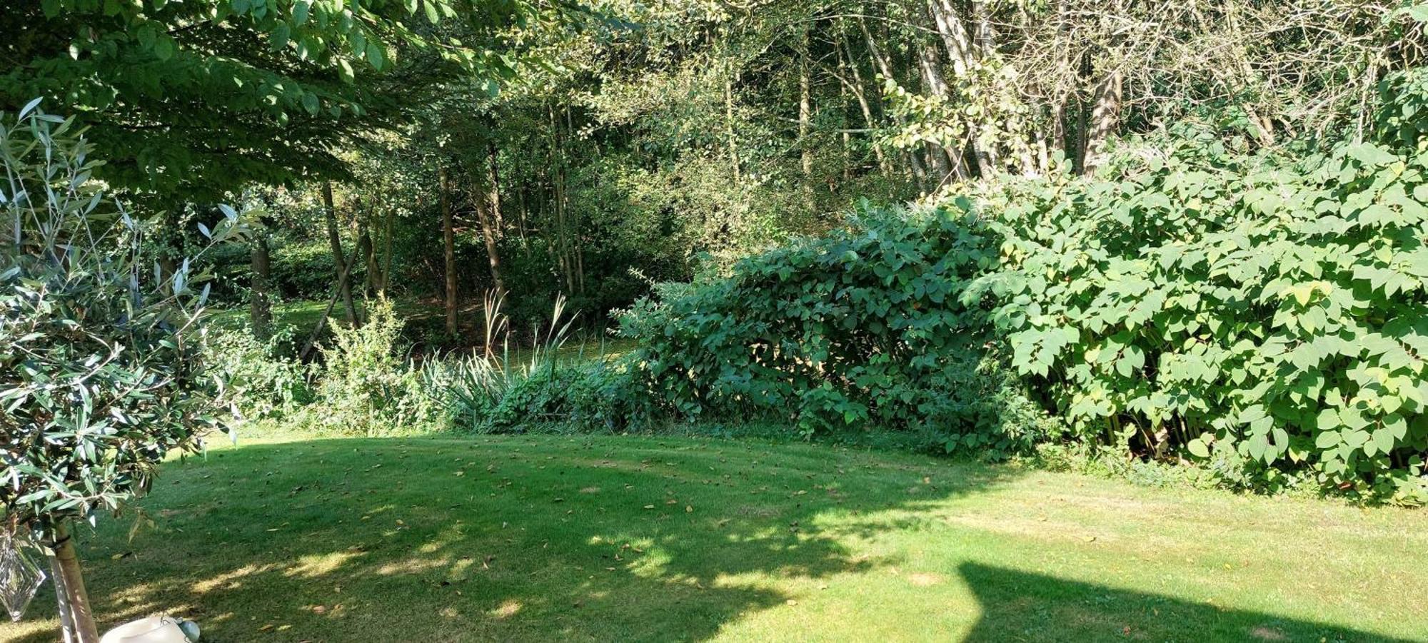Ferienhaus "Haus Bethlehem" Kaethe Schmidt Papenburg Zewnętrze zdjęcie